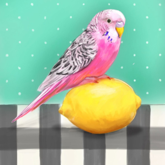 The One With The Budgie On The Lemon