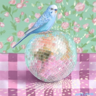The One With The Budgie On A Disco Ball