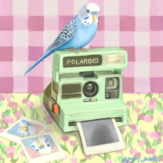 The One With The Budgie On A Polaroid