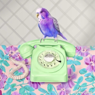 Budgie On The Blower (Green)
