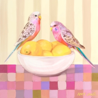 Budgie’s Lemon Bowl