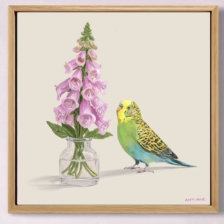 Foxglove Budgie