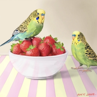 Strawberry Budgies